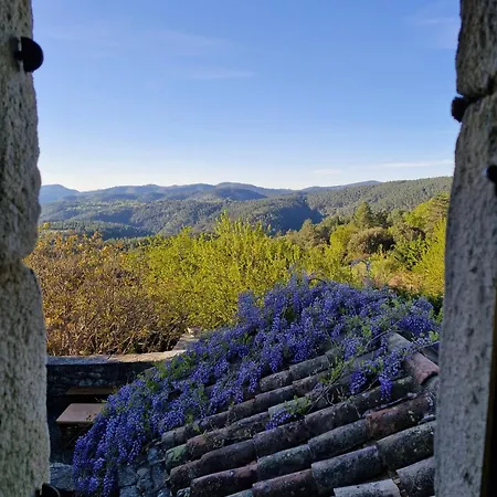 Mas Des Terrasses Hébergement de vacances Aujac (Gard)